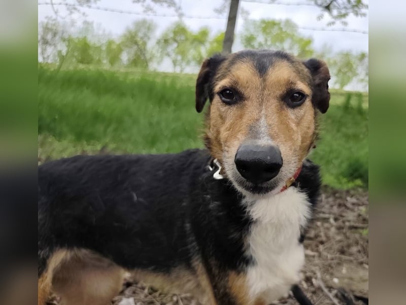 Nica eine gebrochene sanfte Seele