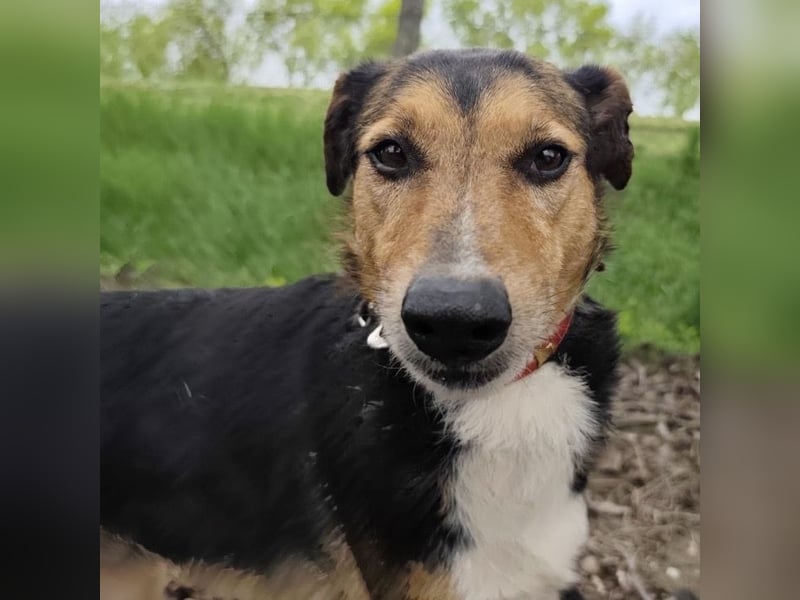 Nica eine gebrochene sanfte Seele