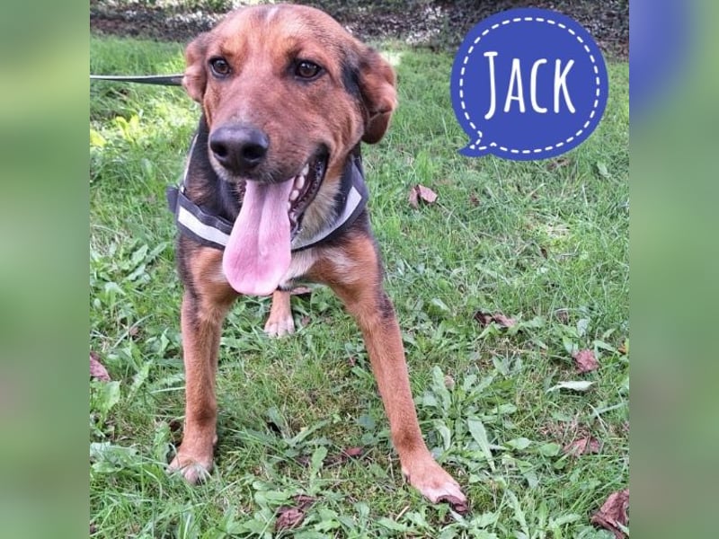 Jack ein tolles Wesen