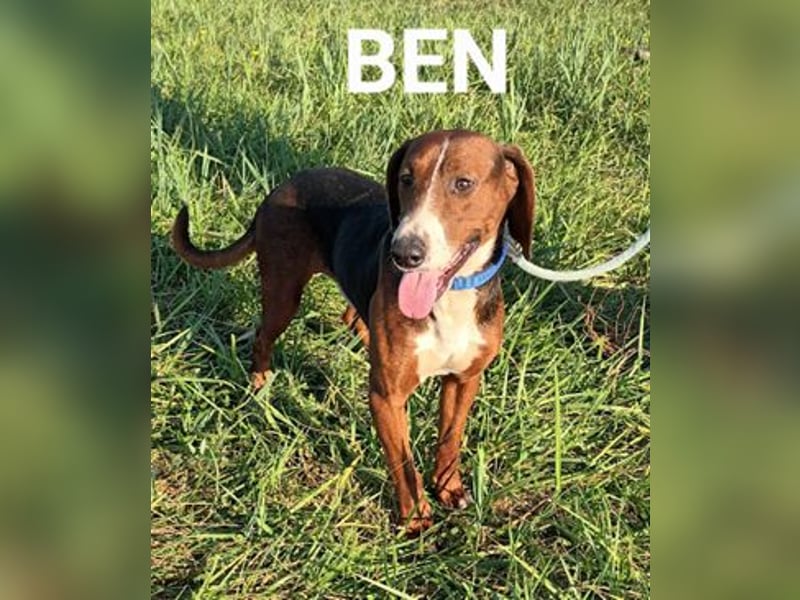 Ben