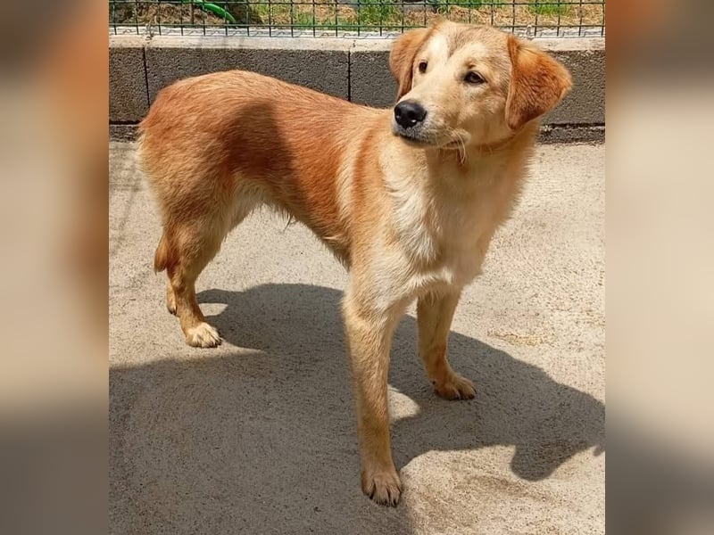 ❤️ REX ❤️
