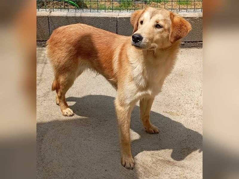 ❤️ REX ❤️
