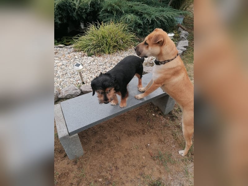 Liza, freundlich und entspannt