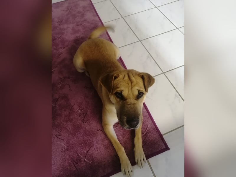 Liza, freundlich und entspannt