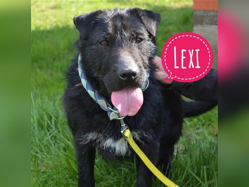 Lexi eine starke Persönlichkeit