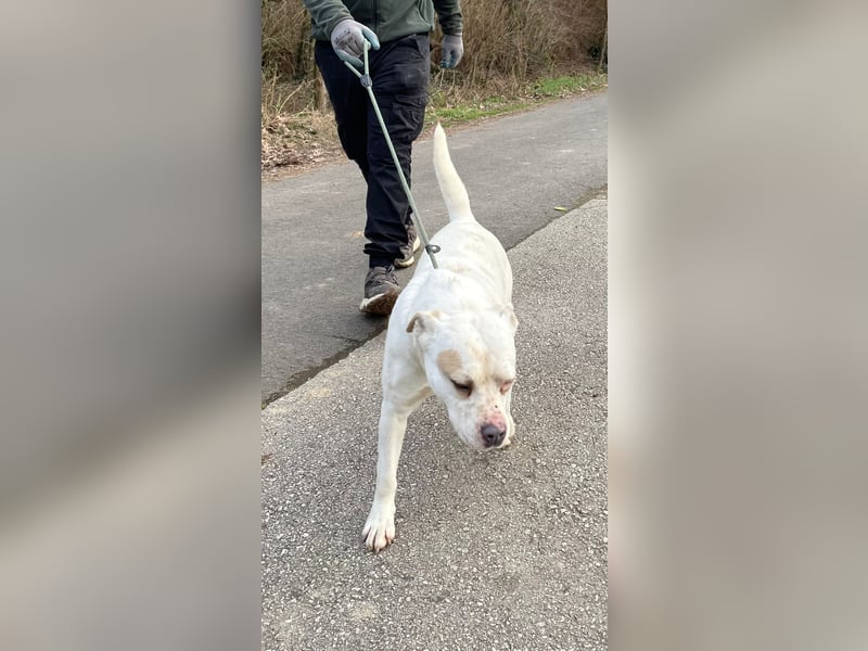 Berni auf der Suche nach ihren Menschen