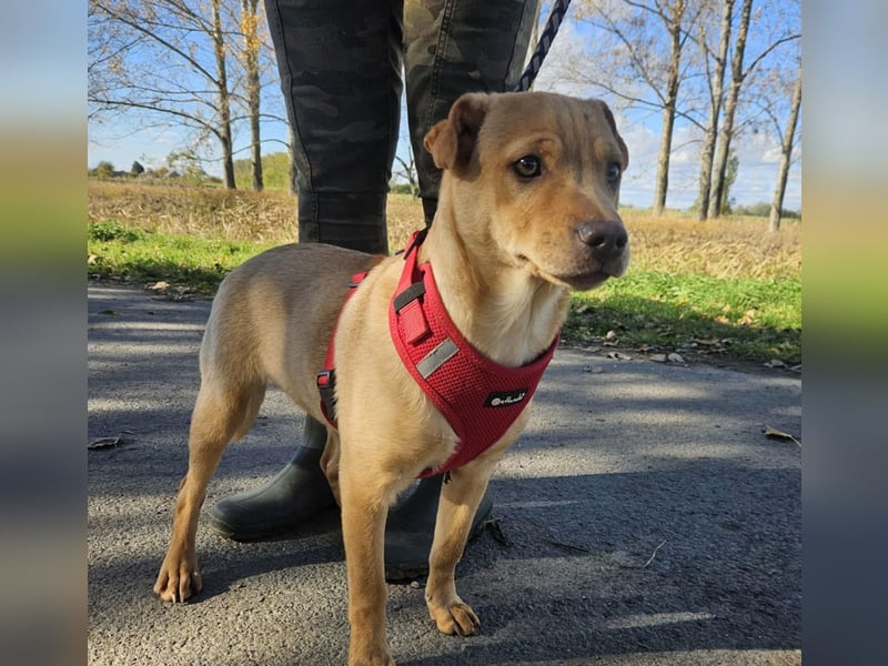 Libby, geboren 06.2025, 41cm sucht ihr Körbchen