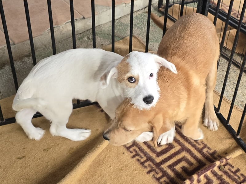 Giovanna: wünscht sich Liebe und Geborgenheit