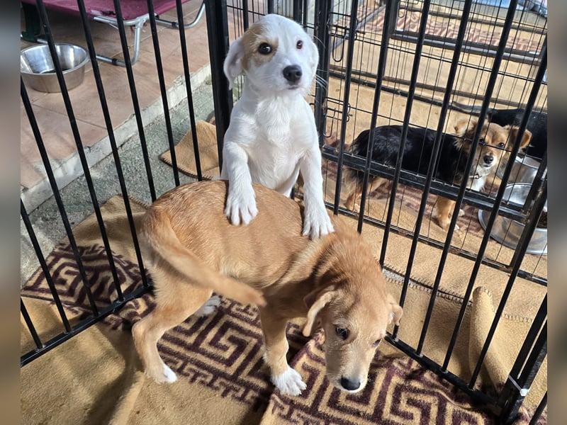 Giovanna: wünscht sich Liebe und Geborgenheit