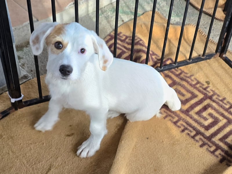 Giovanna: wünscht sich Liebe und Geborgenheit