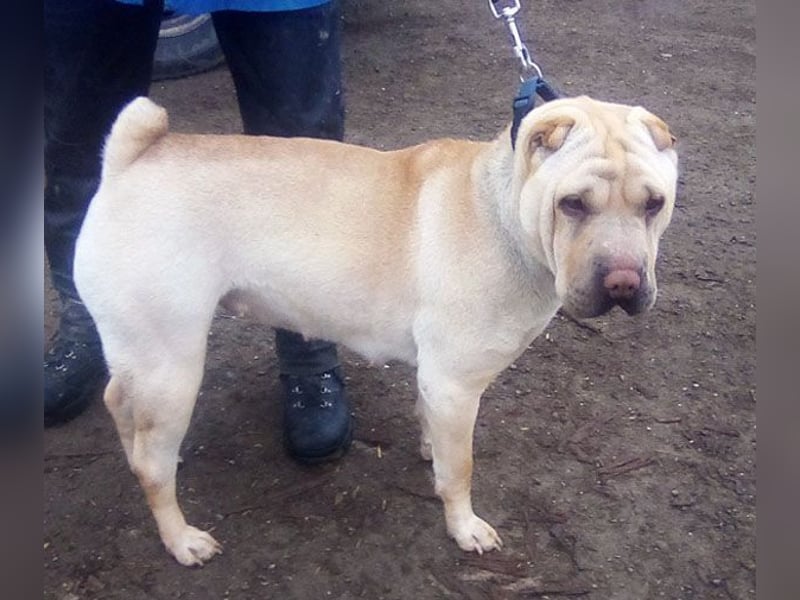 Michelle sucht ihre Familie