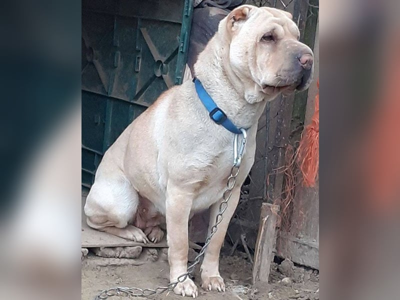 Michelle sucht ihre Familie