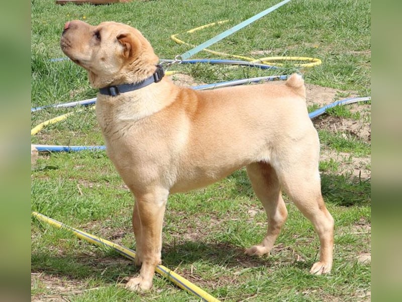 Michelle sucht ihre Familie