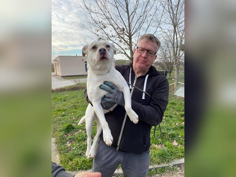 Berni auf der Suche nach ihren Menschen