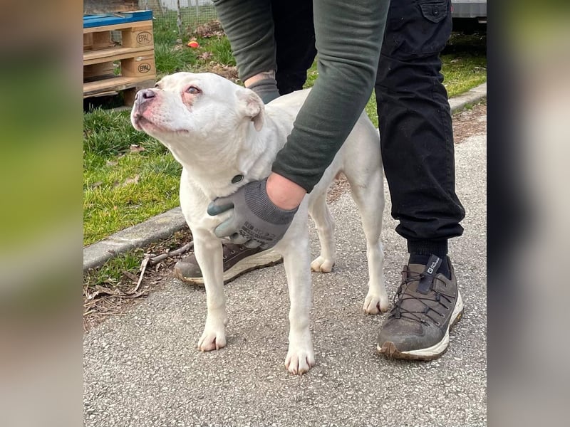 Berni auf der Suche nach ihren Menschen