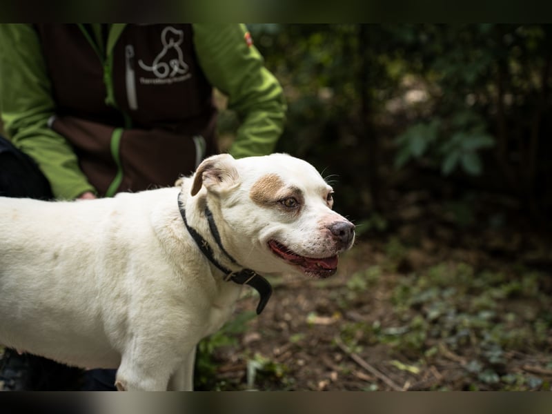 Berni auf der Suche nach ihren Menschen