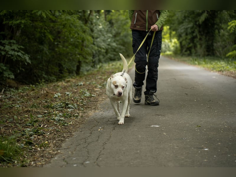 Berni auf der Suche nach ihren Menschen