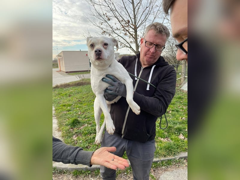 Berni auf der Suche nach ihren Menschen