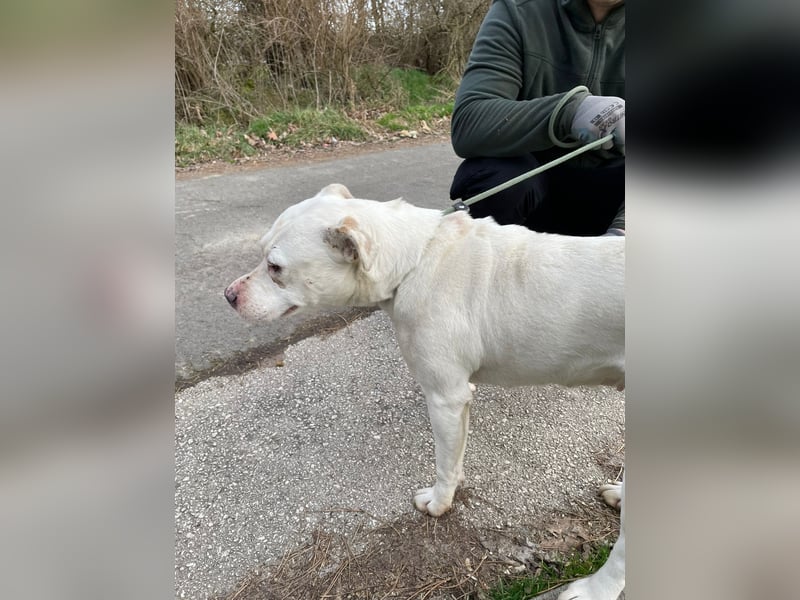 Berni auf der Suche nach ihren Menschen