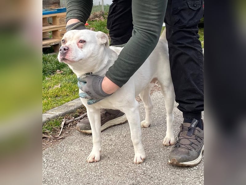 Berni auf der Suche nach ihren Menschen