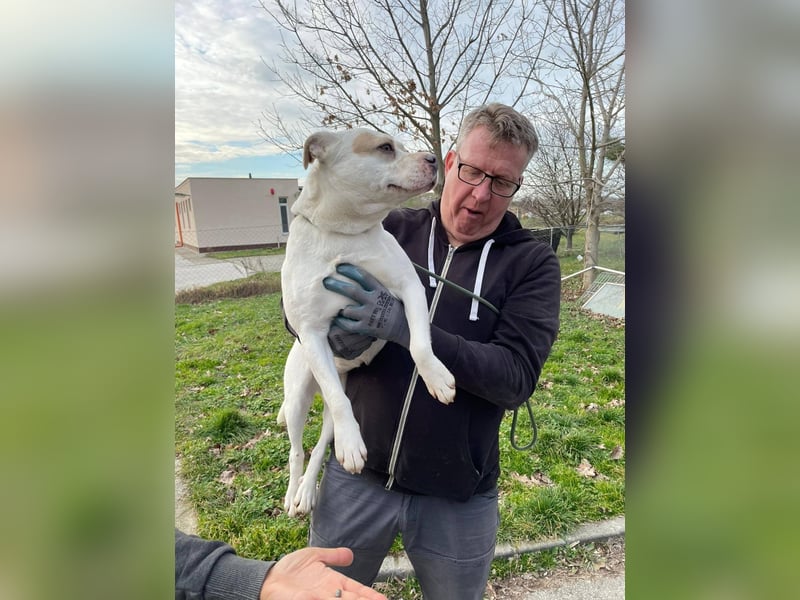 Berni auf der Suche nach ihren Menschen