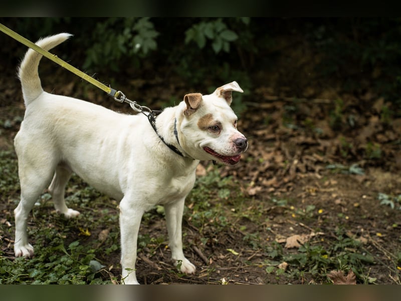 Berni auf der Suche nach ihren Menschen