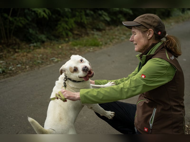 Berni auf der Suche nach ihren Menschen