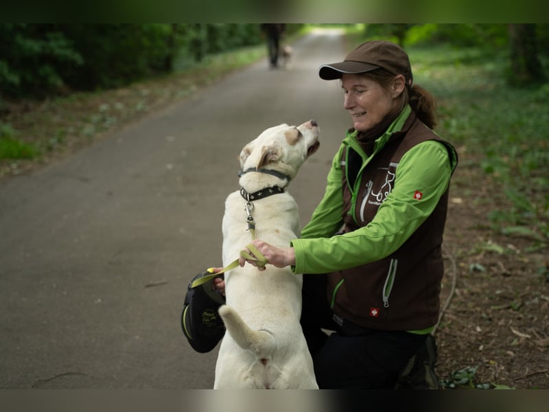 Berni auf der Suche nach ihren Menschen