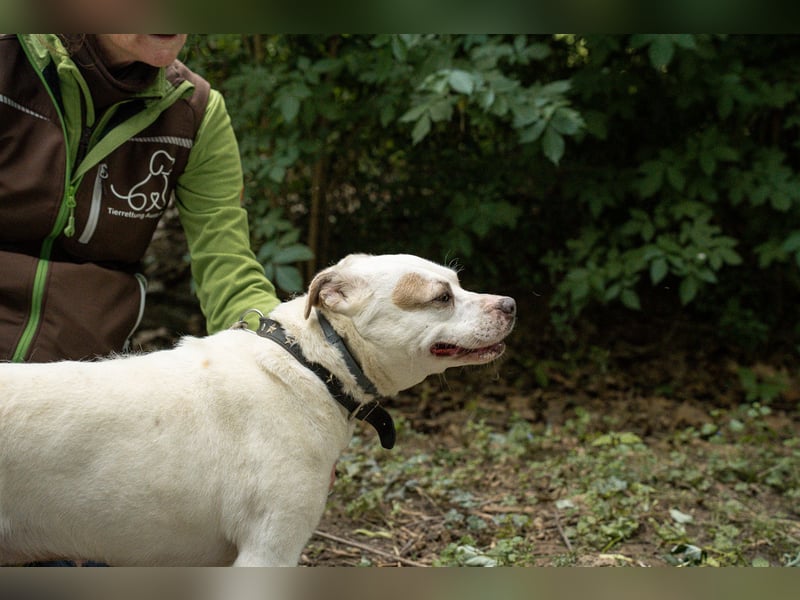 Berni auf der Suche nach ihren Menschen