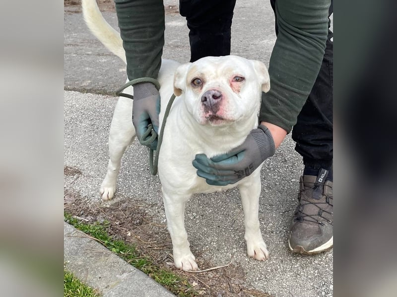 Berni auf der Suche nach ihren Menschen