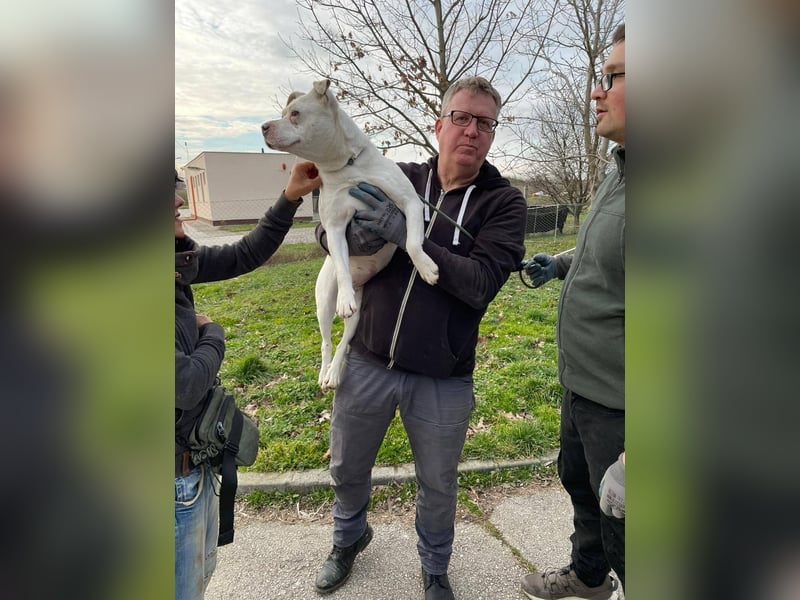 Berni auf der Suche nach ihren Menschen