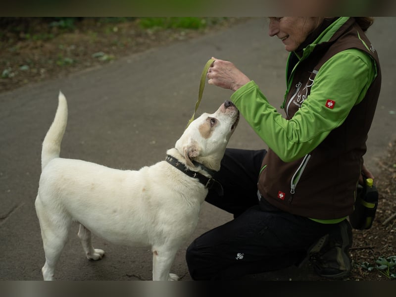 Berni auf der Suche nach ihren Menschen