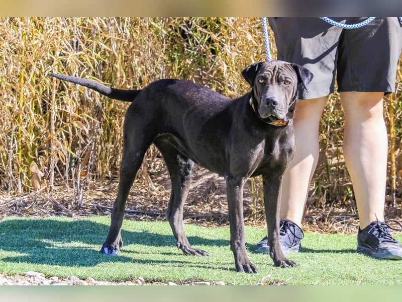 •• J•O•O•M•A •• Sehr Unkompliziert und Super Lieb ❣️