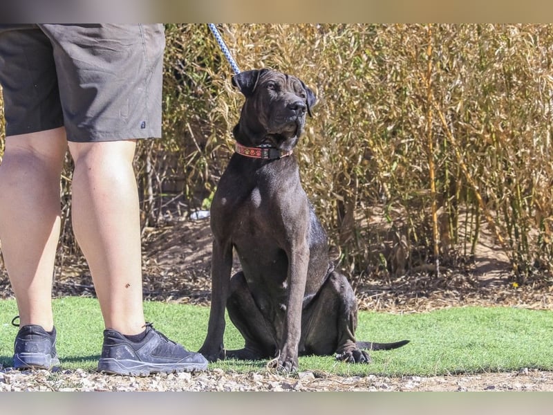 •• J•O•O•M•A •• Sehr Unkompliziert und Super Lieb ❣️