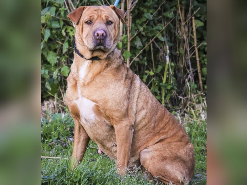 ❣️ G•E•M•M•A ~ will dein Leben bereichern ❣️