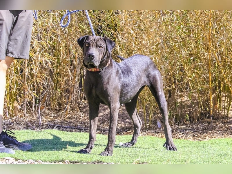 •• J•O•O•M•A •• Sehr Unkompliziert und Super Lieb ❣️