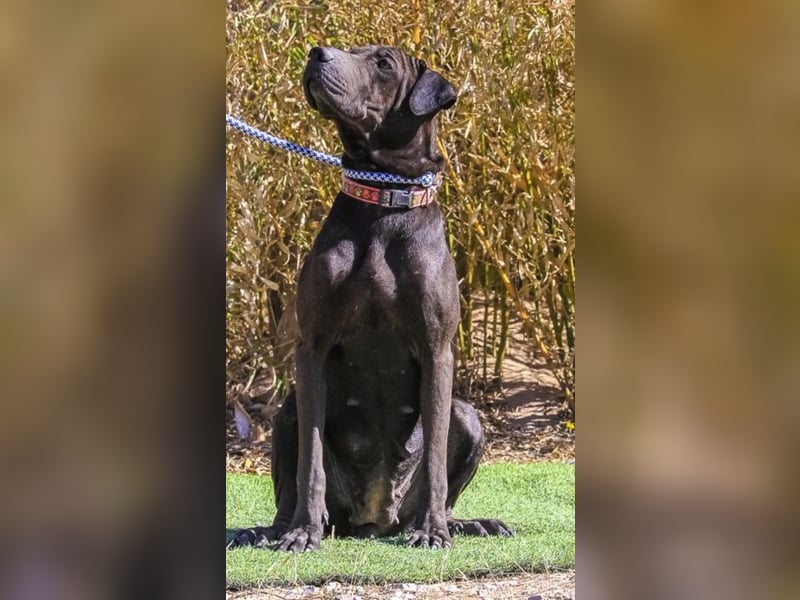 •• J•O•O•M•A •• Sehr Unkompliziert und Super Lieb ❣️