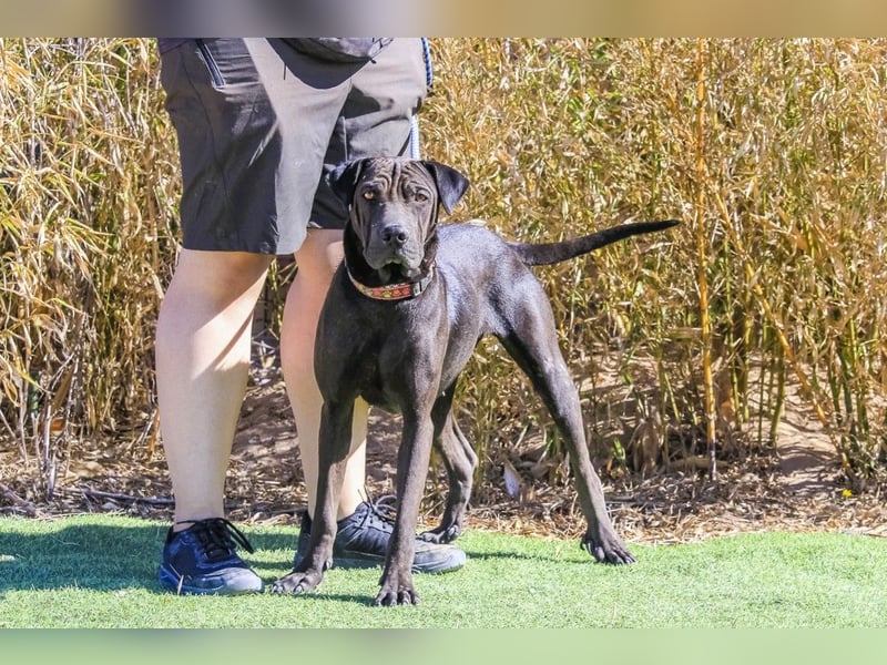 •• J•O•O•M•A •• Sehr Unkompliziert und Super Lieb ❣️