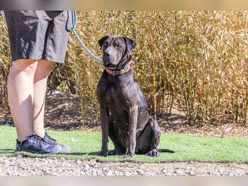 •• J•O•O•M•A •• Sehr Unkompliziert und Super Lieb ❣️