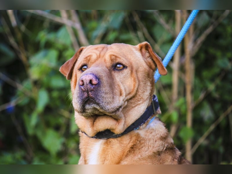 ❣️ G•E•M•M•A ~ will dein Leben bereichern ❣️