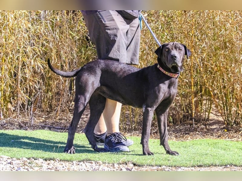 •• J•O•O•M•A •• Sehr Unkompliziert und Super Lieb ❣️