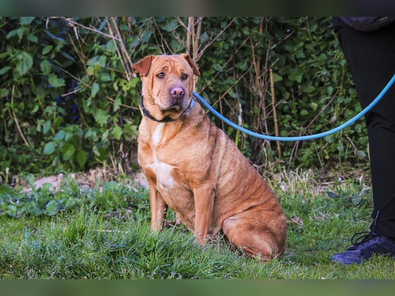 ❣️ G•E•M•M•A ~ will dein Leben bereichern ❣️