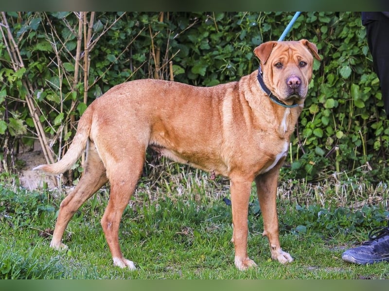 ❣️ G•E•M•M•A ~ will dein Leben bereichern ❣️