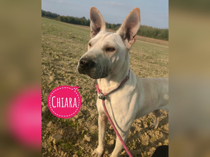 Chiara die wunderhübsche