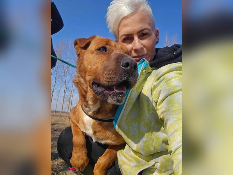 Anubis – Charakterhund mit einer sensiblen Seele