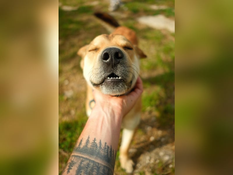 Balou
