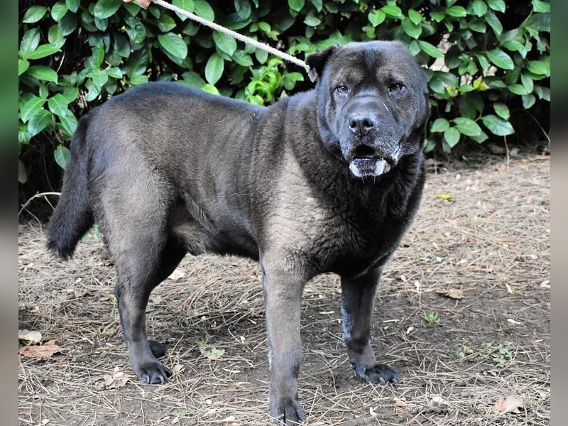 Morgan - wird hoffentlich alles besser