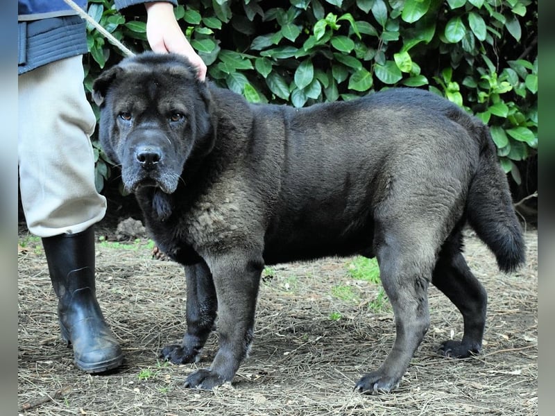 Morgan - wird hoffentlich alles besser