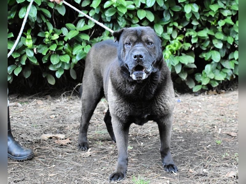 Morgan - wird hoffentlich alles besser