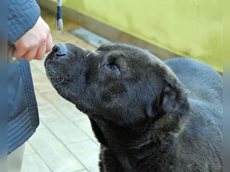 Morgan - wird hoffentlich alles besser